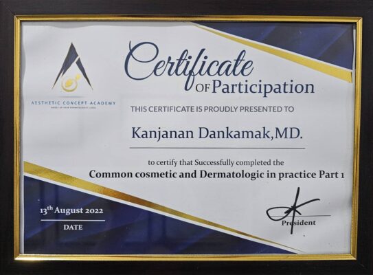 เกียรติบัตรหมอนิก 2