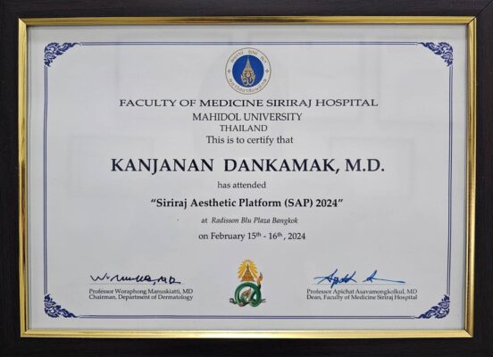 เกียรติบัตรหมอนิก 3